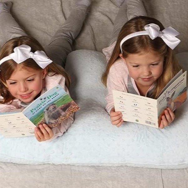 Coussin d'Allaitement - TwinCuddle™ - Bleu Ciel - Nos Bébés dAmour